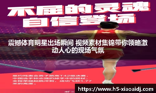 小艾电竞官方正版网站